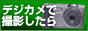 Click Here!